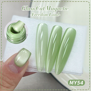 BORN PRETTY - HYBRYDOWY LAKIER MAGNETYCZNY - MY54