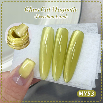 BORN PRETTY - HYBRYDOWY LAKIER MAGNETYCZNY - MY53