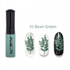 35 - BEAN GREEN